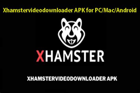 download xmaster|How to Download Videos from Xhamster on PC & Mobile 